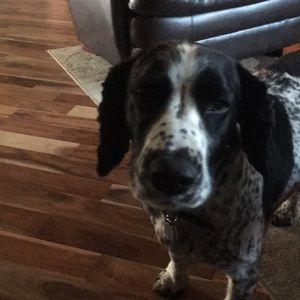 Meet your Posher, Carla